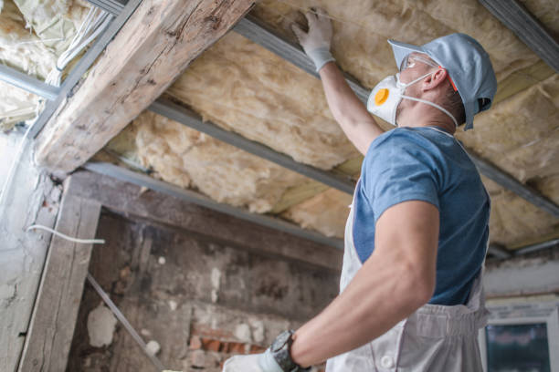 Best Commercial Insulation in Stephenville, TX